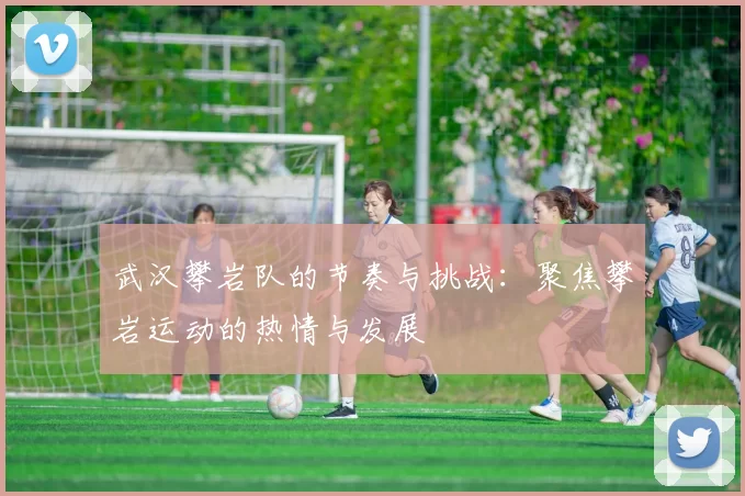 武汉攀岩队的节奏与挑战：聚焦攀岩运动的热情与发展