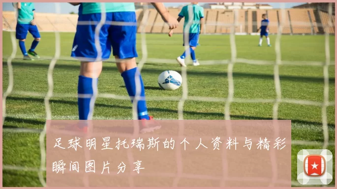 足球明星托瑞斯的个人资料与精彩瞬间图片分享