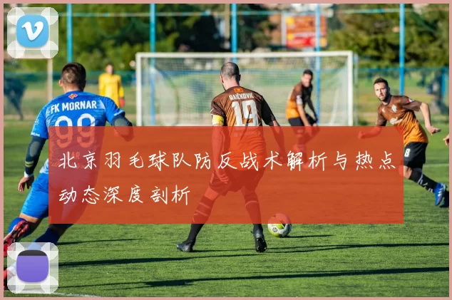 北京羽毛球队防反战术解析与热点动态深度剖析