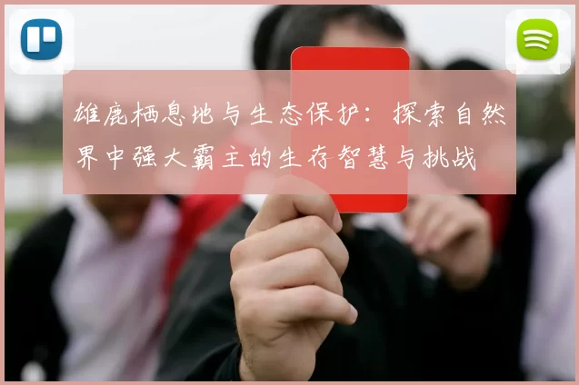 雄鹿栖息地与生态保护：探索自然界中强大霸主的生存智慧与挑战