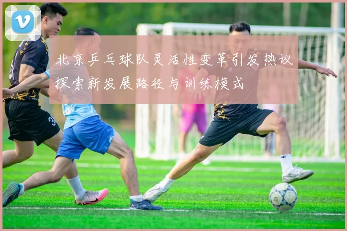 北京乒乓球队灵活性变革引发热议探索新发展路径与训练模式