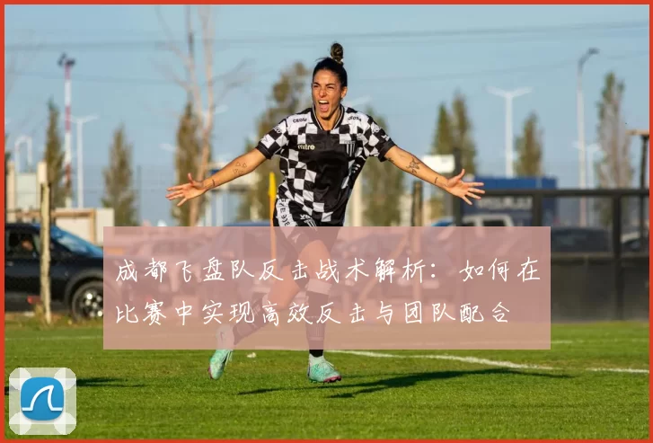 成都飞盘队反击战术解析：如何在比赛中实现高效反击与团队配合