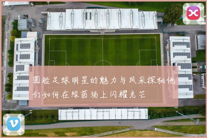 圆脸足球明星的魅力与风采探秘他们如何在绿茵场上闪耀光芒