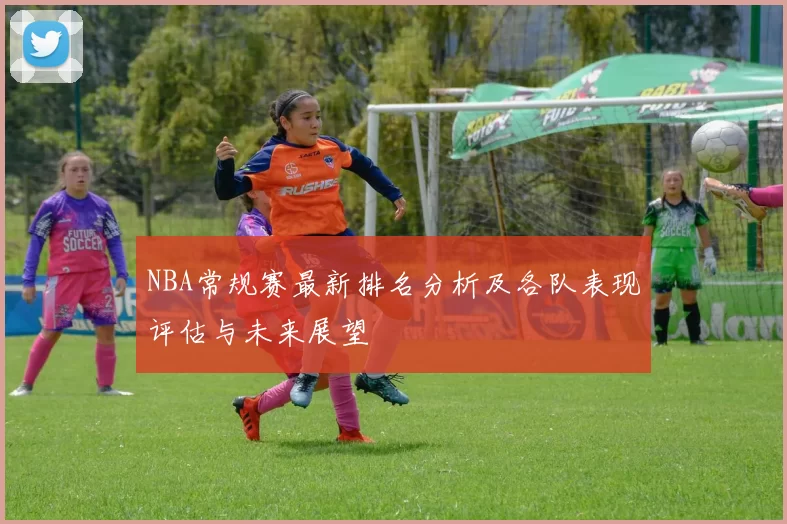 NBA常规赛最新排名分析及各队表现评估与未来展望
