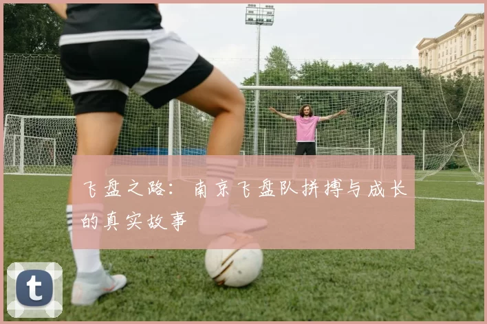飞盘之路：南京飞盘队拼搏与成长的真实故事