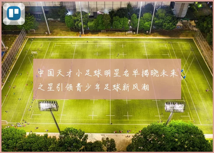 中国天才小足球明星名单揭晓未来之星引领青少年足球新风潮