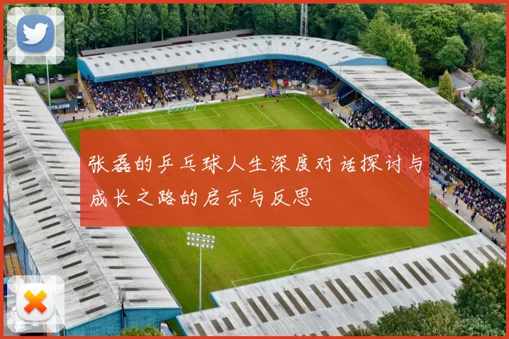 张磊的乒乓球人生深度对话探讨与成长之路的启示与反思