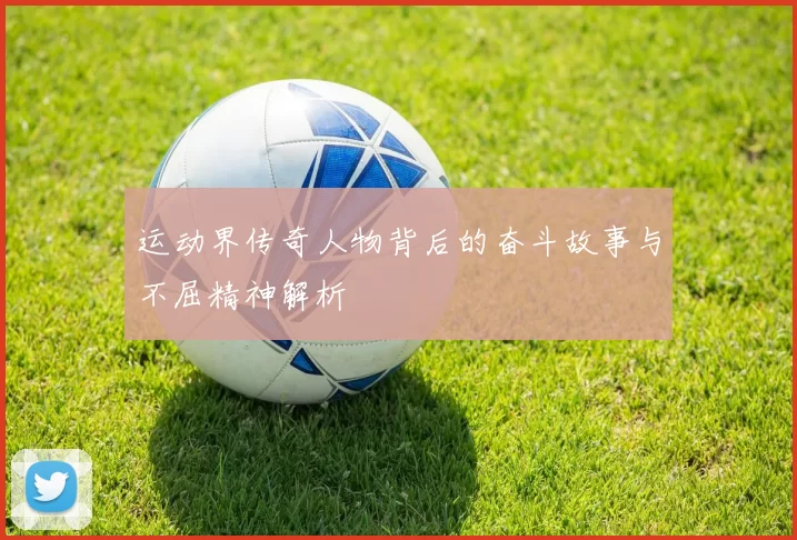 运动界传奇人物背后的奋斗故事与不屈精神解析