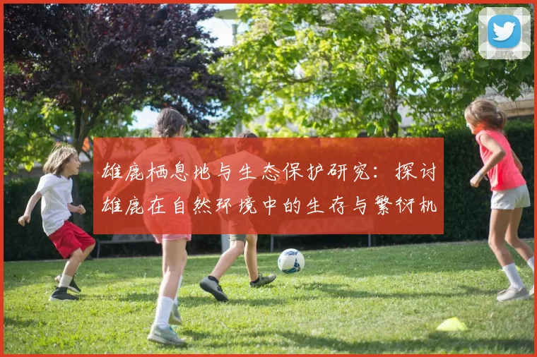 雄鹿栖息地与生态保护研究：探讨雄鹿在自然环境中的生存与繁衍机制