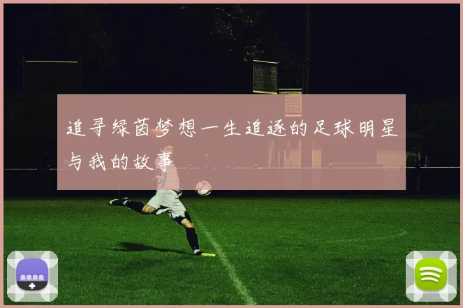追寻绿茵梦想一生追逐的足球明星与我的故事