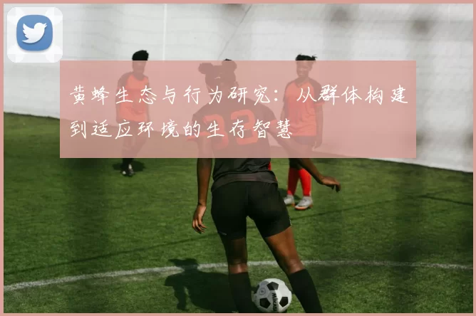 黄蜂生态与行为研究：从群体构建到适应环境的生存智慧