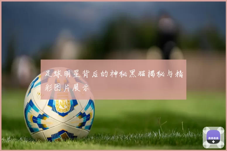 足球明星背后的神秘黑猫揭秘与精彩图片展示