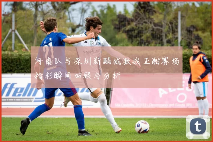 河南队与深圳新鹏城激战正酣赛场精彩瞬间回顾与分析