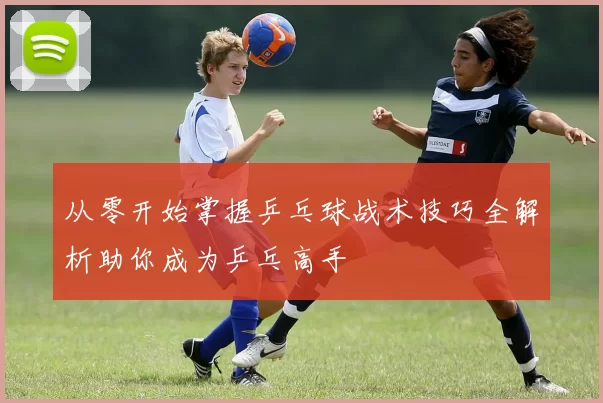 从零开始掌握乒乓球战术技巧全解析助你成为乒乓高手