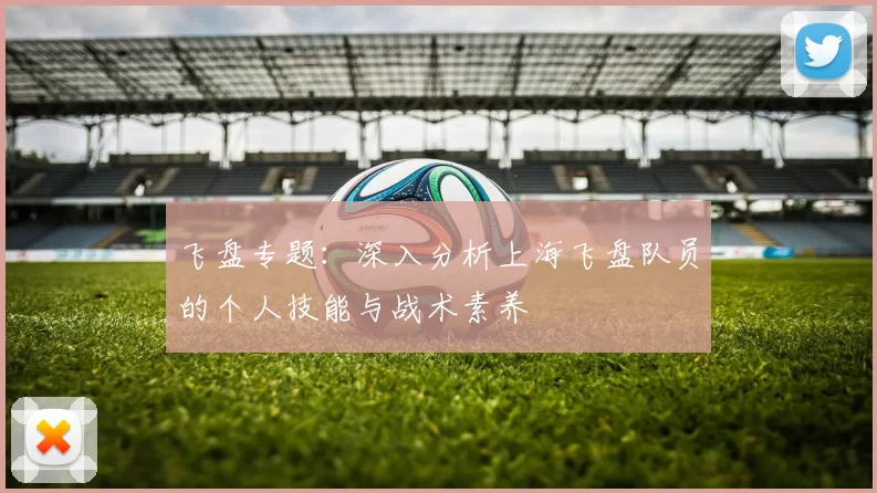 飞盘专题：深入分析上海飞盘队员的个人技能与战术素养